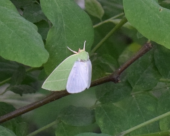 Che cosa sta succedendo qui?